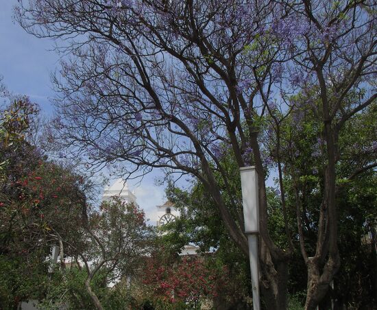 Garten der Burganlage