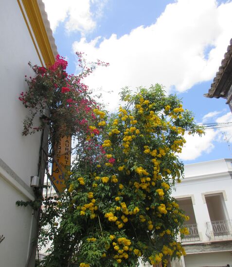 In den Altstadtgassen