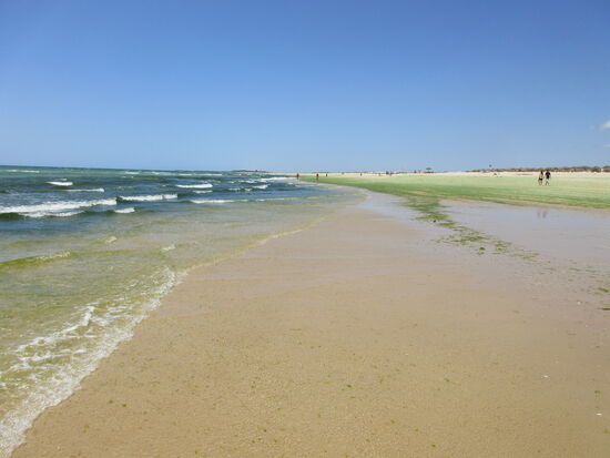 und leider viel Seegras