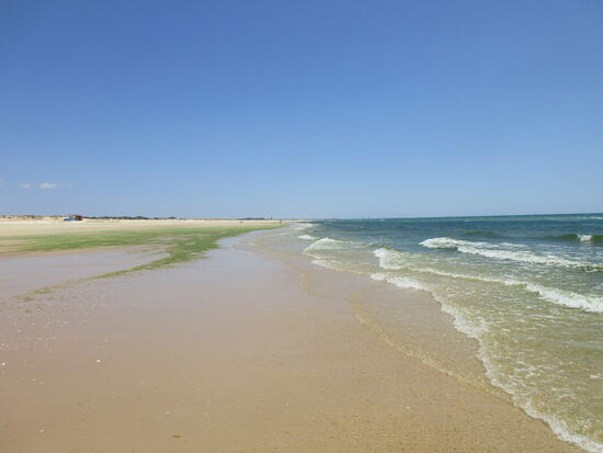 und auch das Wasser ist grün