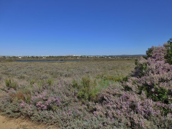 Landschaft in der Nähe von Santa Luzia