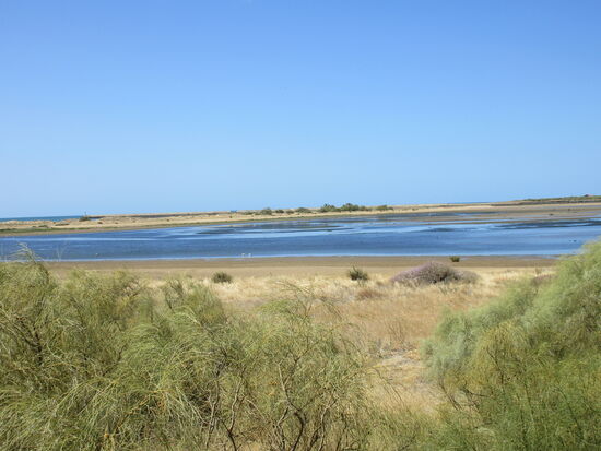 Lagune in Isla Cristina