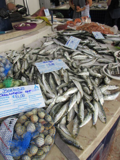 Sardinen und Muscheln