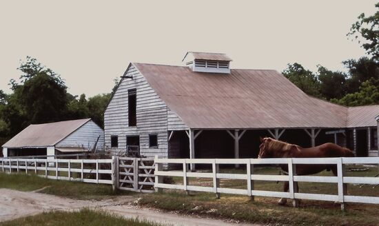 Die heutigen Stallungen