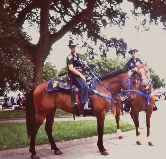 Berittene Polizei in Mobile