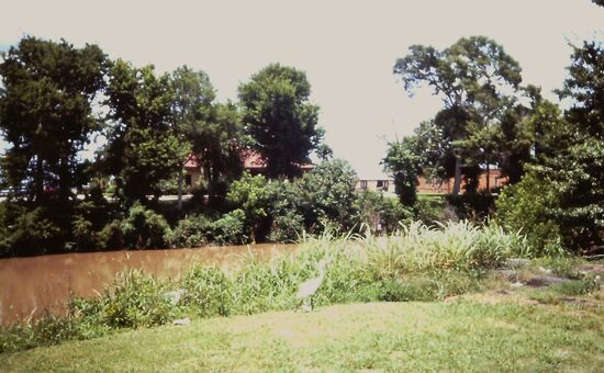 Bajous Cajun Country