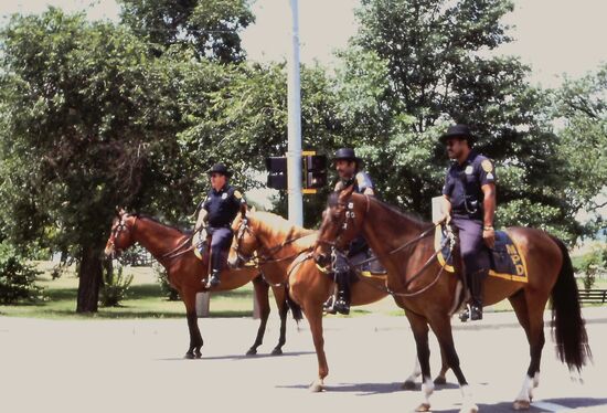 Berittene Polizei - auch in Memphis