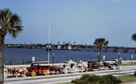 Kutschen am Intracostal Waterway