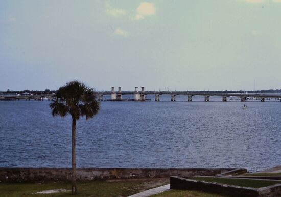 Bridge of Lions - die 470 Meter lange Brücke führt über den Intracoastal Waterway