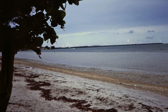 Strand in Key Biscayne