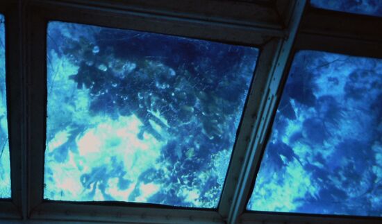 Sicht vom Glasboden-Boot