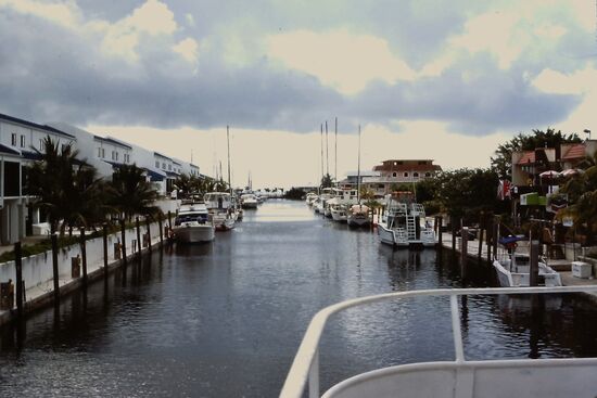 Fahrt mit dem Glasboden-Boot