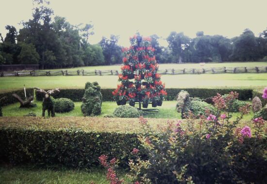 Geschnitzte Skulpturen