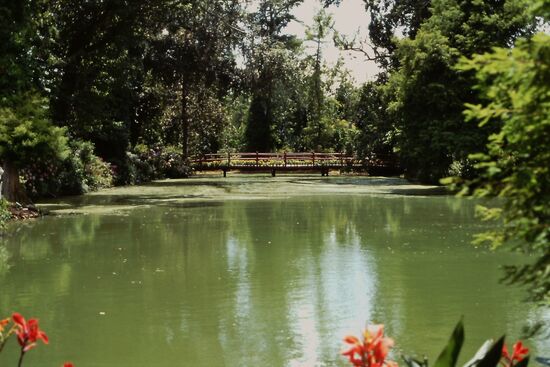 Blick auf die Swamps