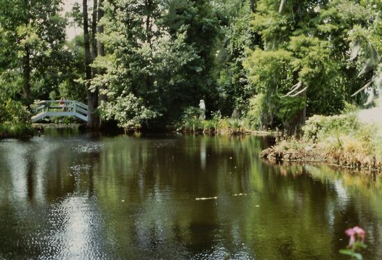 Brücke über die Swamps