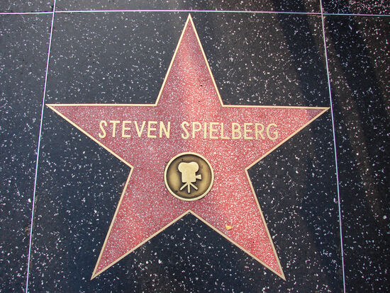 Der bekannte Regisseur