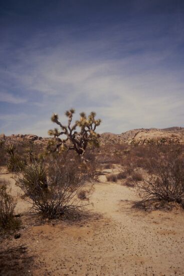 Es war sehr trocken zu dieser Jahreszeit