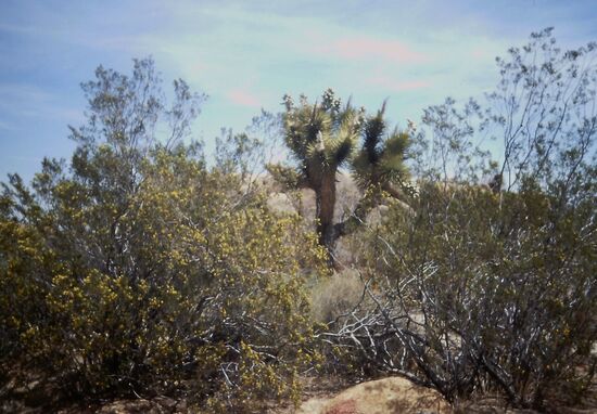 Fast undurchdringlich