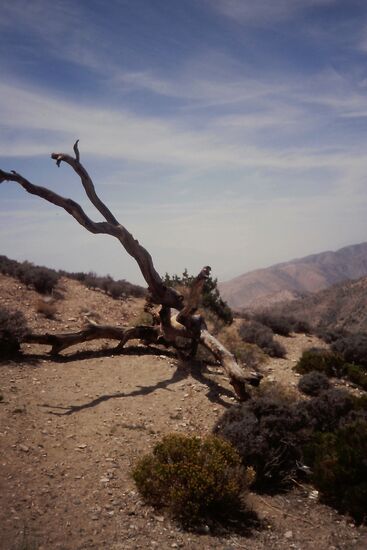 Kahl ragt er in den Himmel...