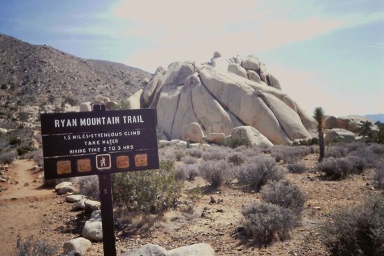 Ryan Mountain Trail