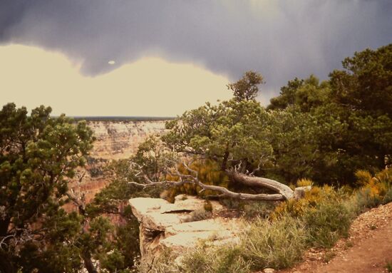 Ein schöner Rastplatz