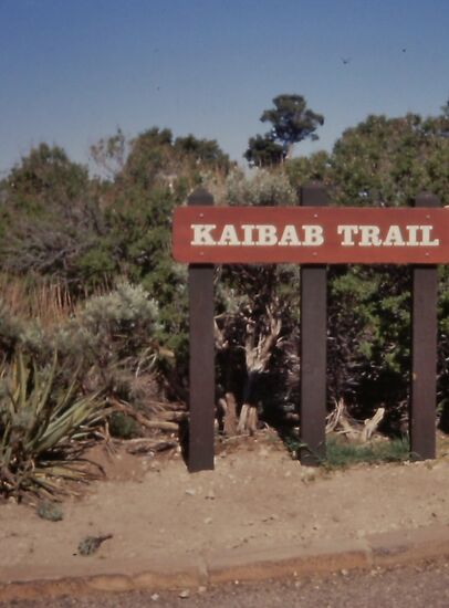 Hier beginnt der Kaibab Trail