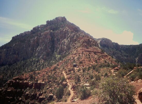 Da hinauf geht der trail