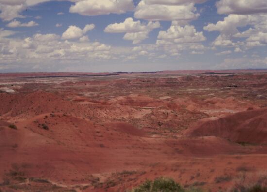 Painted Desert