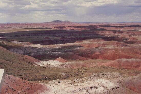 Wunderschöne Farben