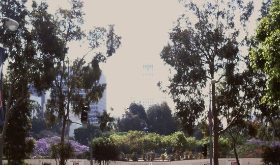 Tucson ist auch in Downtwon eine "grüne" Stadt