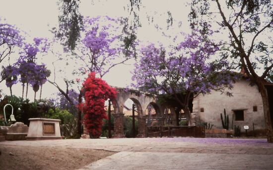 Üppige Blütenpracht