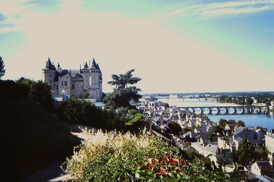 Das Scloss und die Loire