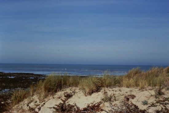 Dünen bei La Baule