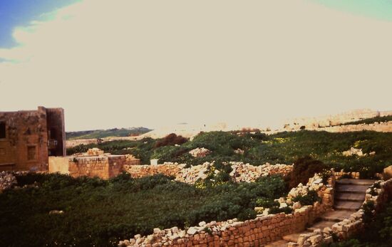 Ausgrabungen bei Gharb