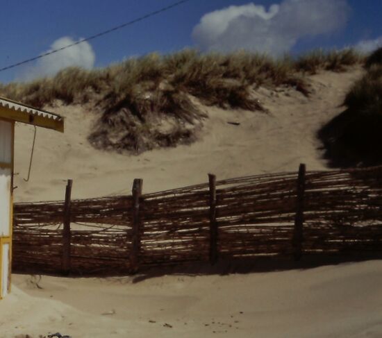 Praia de Mira