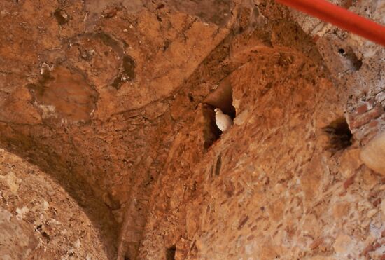 Hier bin ich zuhause...