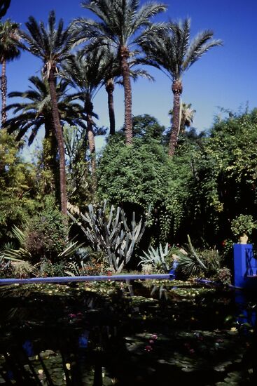 Der botanische Garten