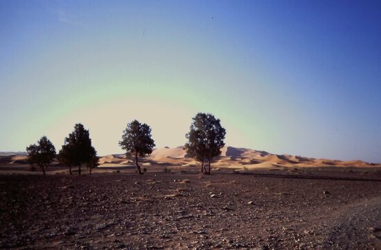 Der Anblick von Erg Chebbi von weitem