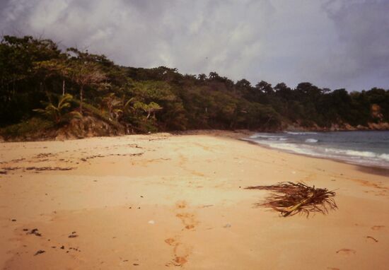 Menschenleerer weiter Strand