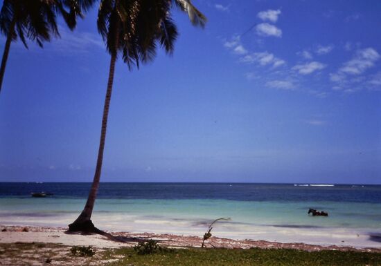 Auch das Pferd geniesst ein erfrischendes Bad