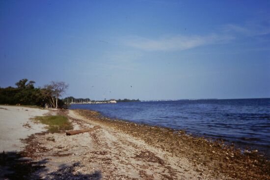 Naturbelassener Strand