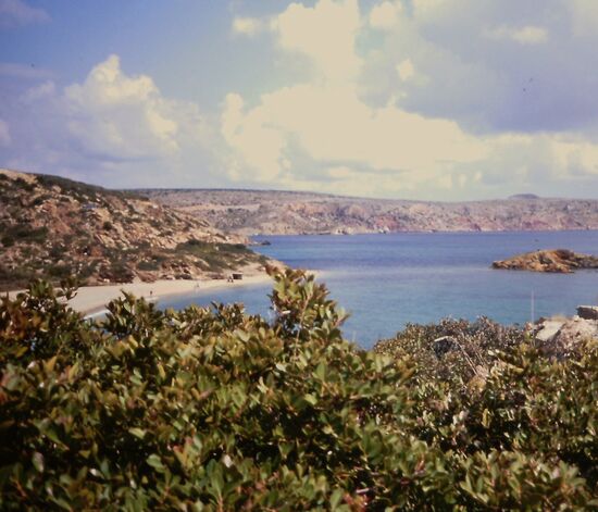 Blick auf den Palmenstrand von Vai