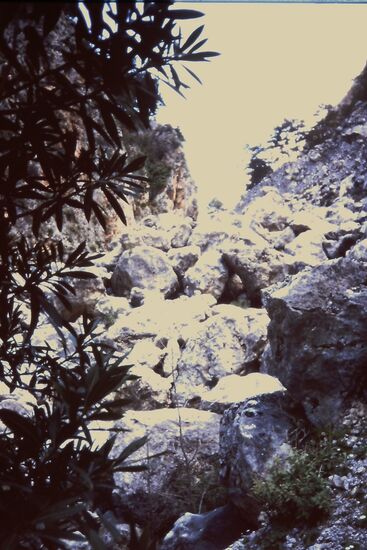 Das wird eine Kletterpartie