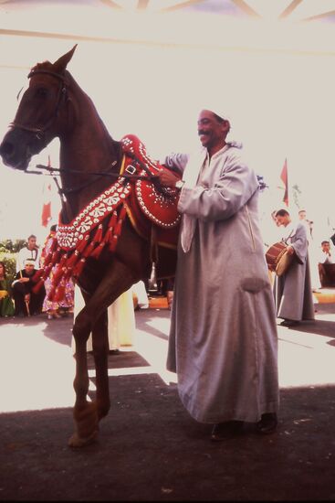 Bereit für die Vorführung im Alf Leila Wa Leila