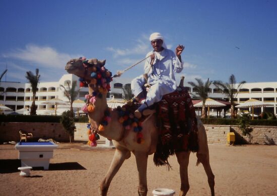 Kamelreiter am Strand vor dem Hotel