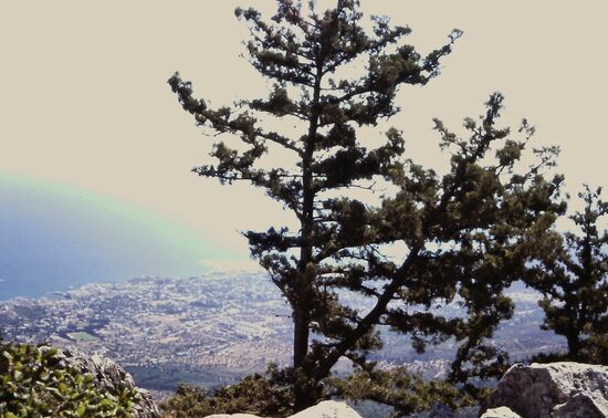 Ausblick vom Troodos Gebirge