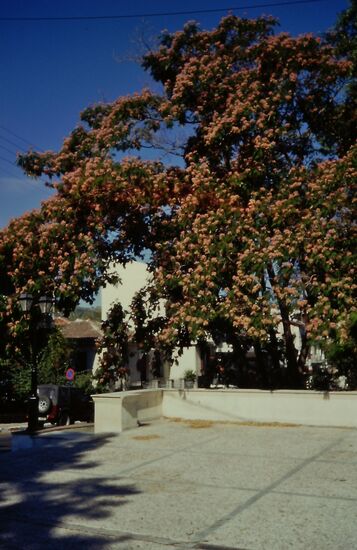 Schöner Platz in Samos Stadt