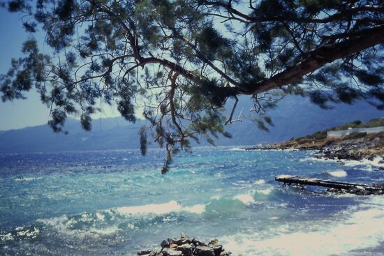 Was für ein schöner Blick