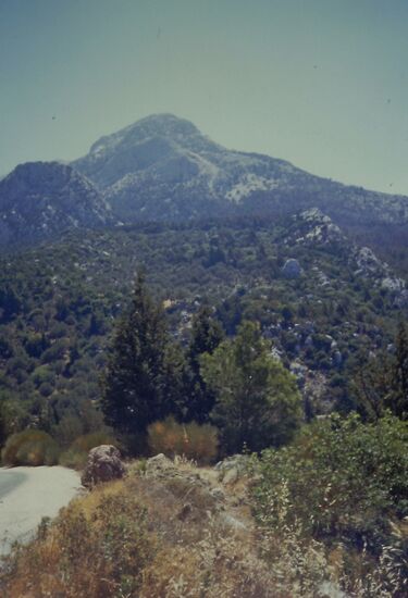 in der Nähe von Ireon