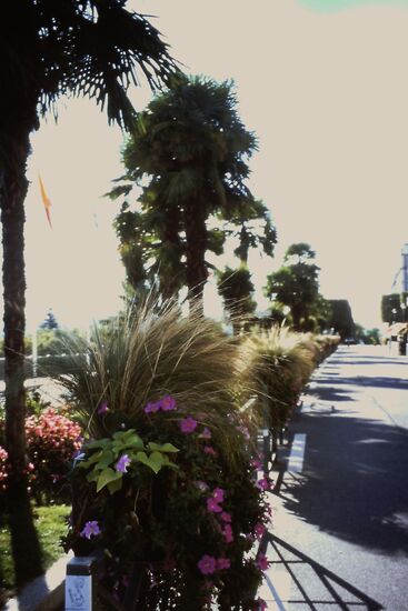 Am Boulevard der Pyrenäen